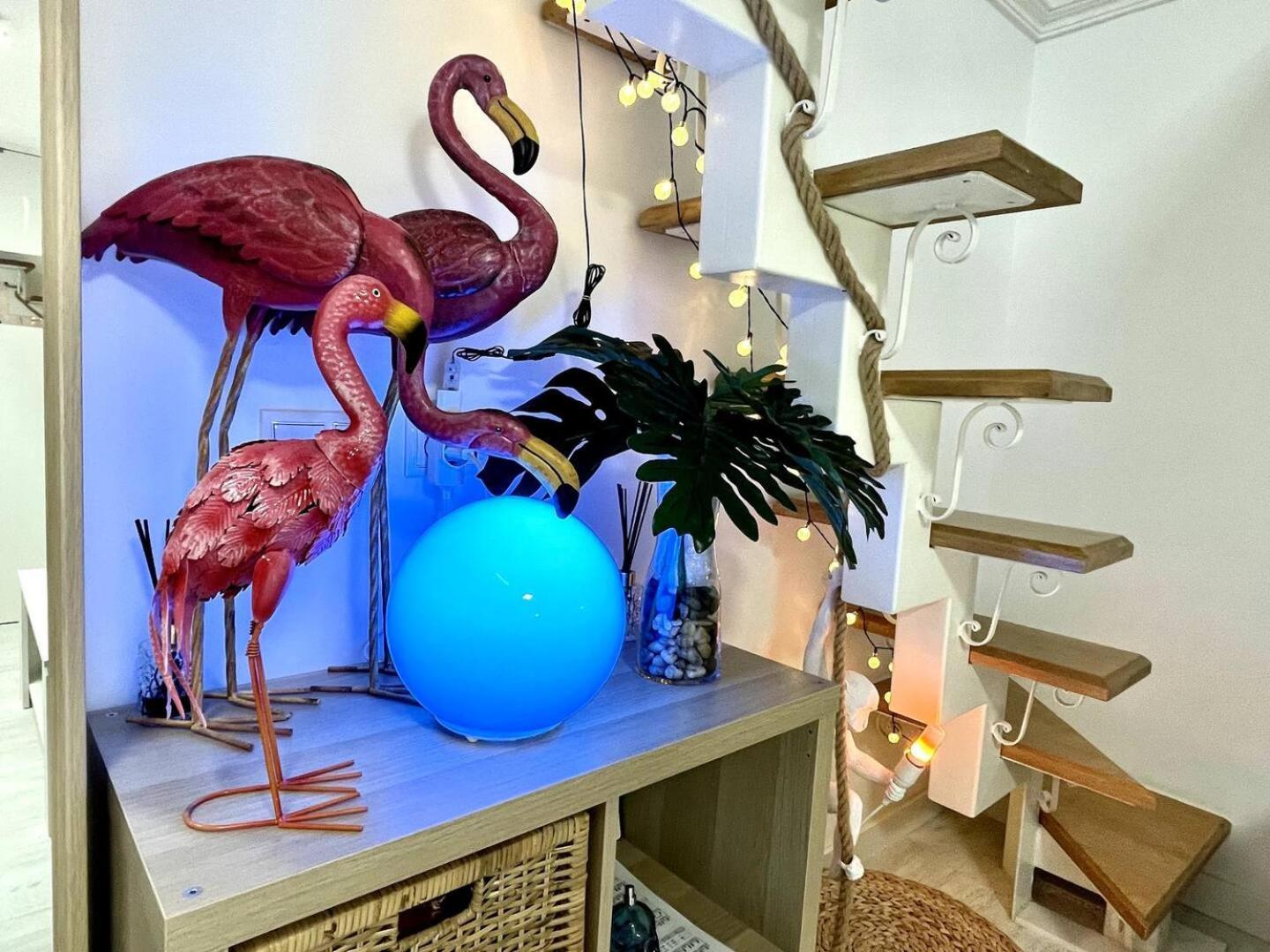 Los Flamencos, Malasana Loft Madrid 45Mq 외부 사진