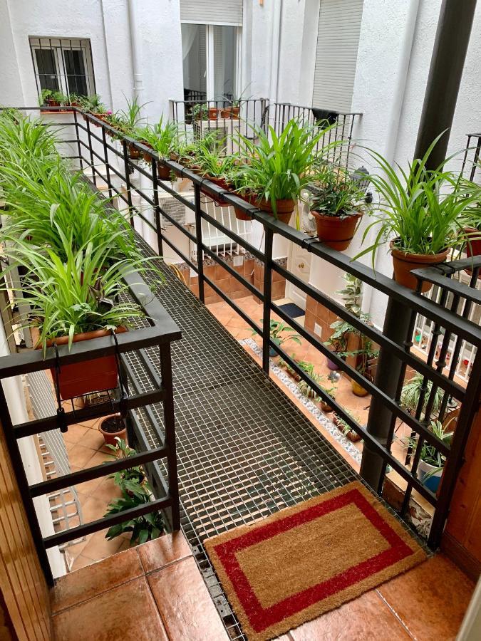 Los Flamencos, Malasana Loft Madrid 45Mq 외부 사진